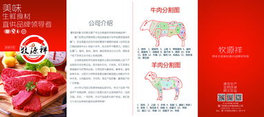 高效传播的艺术 从产品手册到折页广告的全链条广告代理解决方案